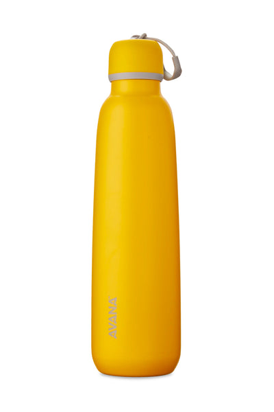 Ashbury Stainless Steel Double Wall Insulated Water Bottle